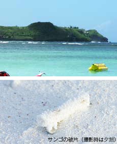 グアムの砂浜・サンゴの破片