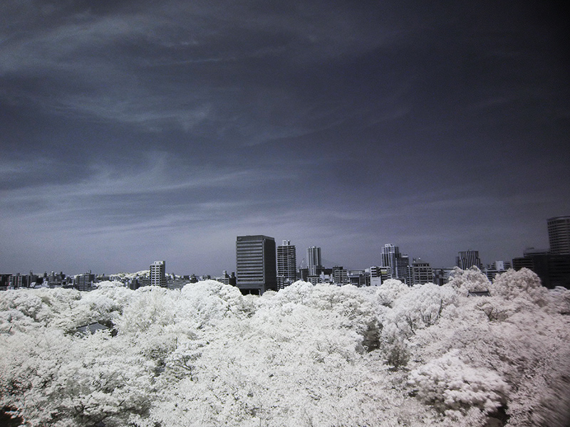 赤外線写真で撮影した福岡城から眺めた風景,infrared photography